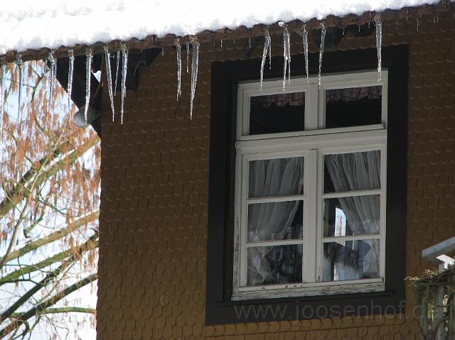 Winter, Eiszapfen.JPG